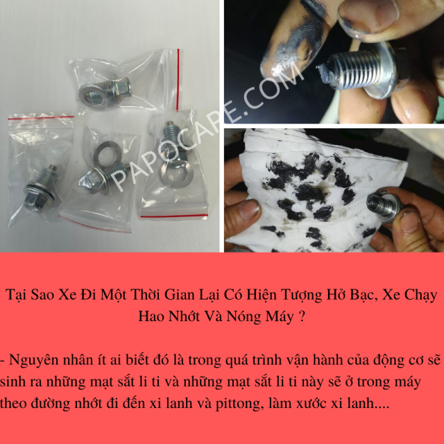 Ốc Xả Nhớt Nam Châm Cho Xe Honda Và Yamaha, Ốc Ren 12 Đầu Ốc 12 – PAPOCARE